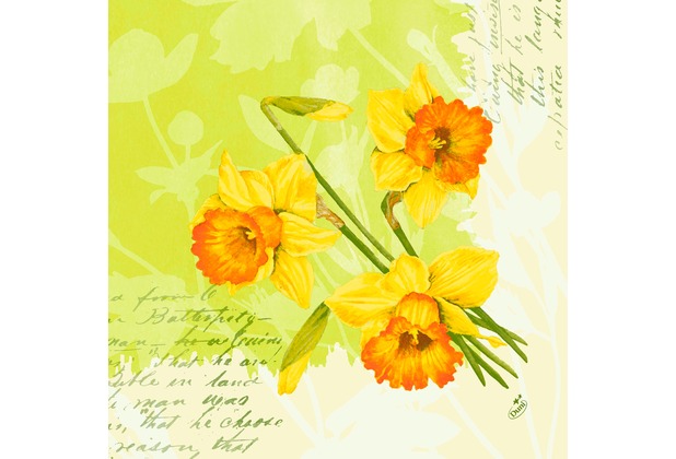 Dunilin Servietten 40 x 40 cm, 50 Stück/Pack | mit Motiv Spring Flowers 