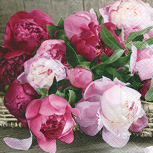 PAPER+DESIGN Zelltuch-Servietten 33 x 33 cm, 3-lagig, 1/4 Falz, 20 Stück/Pack | mit Motiv Scent of peony

