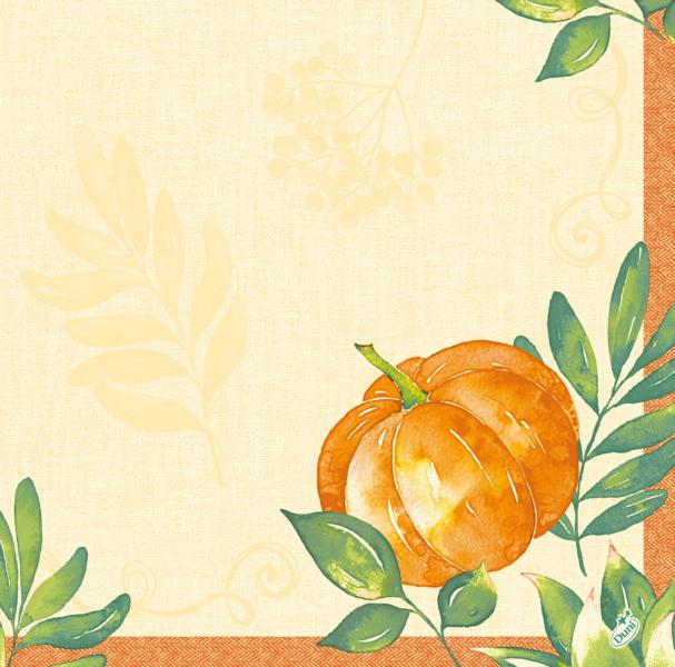 Dunisoft Servietten 40 x 40 cm, 60 Stück/Pack | mit Motiv Pumpkin Spice
