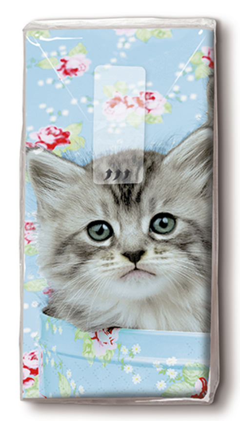 PAPER+DESIGN Taschentücher 4-lagig, 10 Taschentücher/Päckchen | mit Motiv "Zwei Katzen"