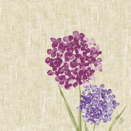 Dunilin Servietten 40 x 40 cm, 50 Stück/Pack | mit Motiv Alia 