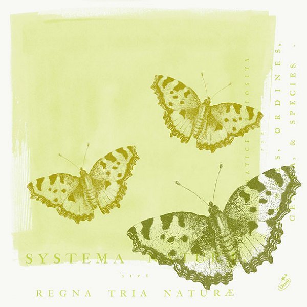 Dunilin Servietten 40 x 40 cm, 50 Stück/Pack | mit Motiv Merle 