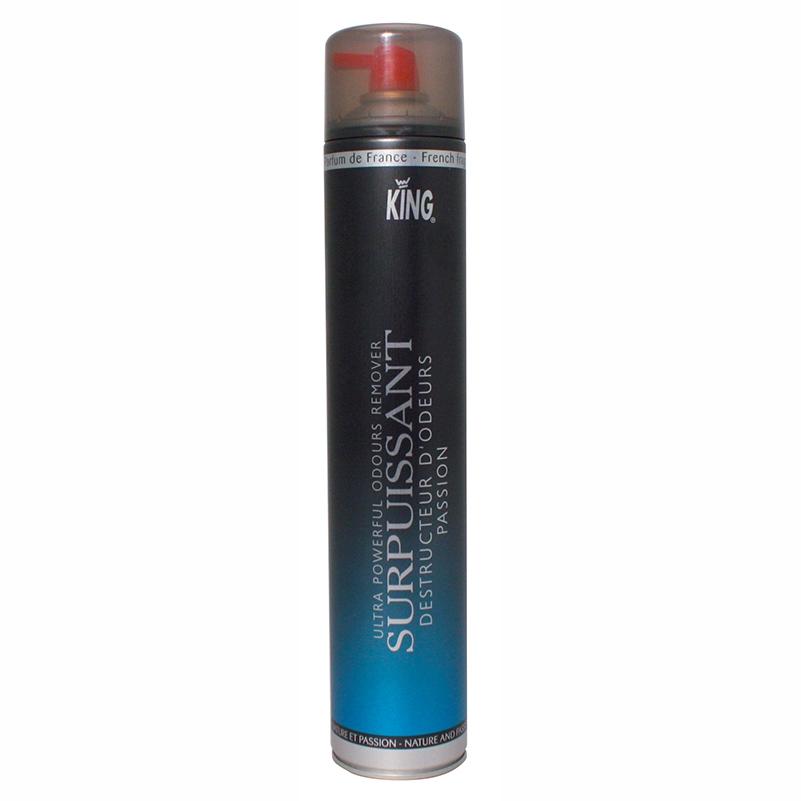 Raumduftspray King Absorbeur Odeurs Surpuissant PASSION 750 ml | Passion 
