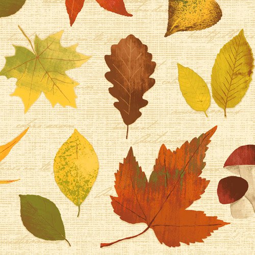 DUNI Zelltuch-Servietten 40 x 40 cm, 3-lagig, 1/4 Falz, 250 Stück/Pack | mit Motiv Hana 
