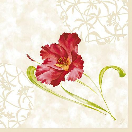 Dunilin Servietten 40 x 40 cm, 50 Stück/Pack | mit Motiv Roma 
