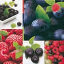 HOME FASHION Zelltuch-Servietten 33 x 33 cm, 3-lagig, 1/4 Falz, 20 Stück/Pack | mit Motiv "Wild Berries" 