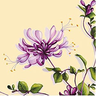 Dunilin Servietten 40 x 40 cm, 50 Stück/Pack | mit Motiv Dariella 