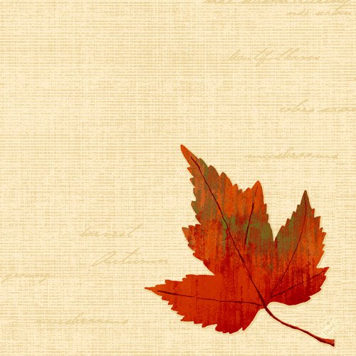 Dunilin Servietten 40 x 40 cm, 50 Stück/Pack | mit Motiv Hana 
