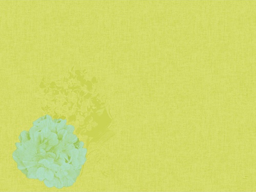 Tischsets Dunicel 30 x 40 cm, 100 Stück | mit Motiv Endless Summer Green 
