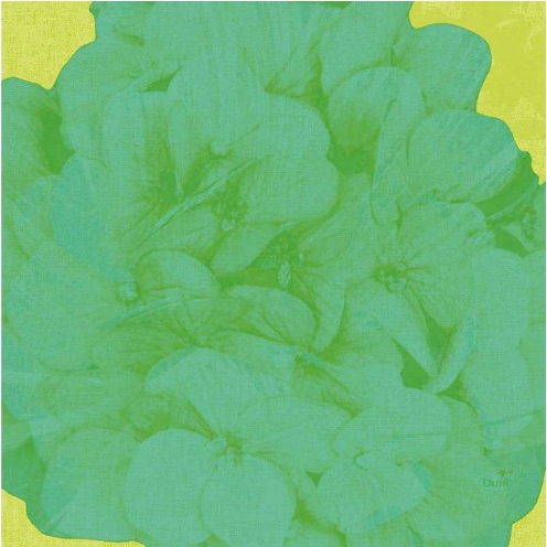 DUNI Zelltuch-Servietten 33 x 33 cm, 3-lagig, 1/4 Falz, 250 Stück/Pack | mit Motiv Endless Summer Green 
