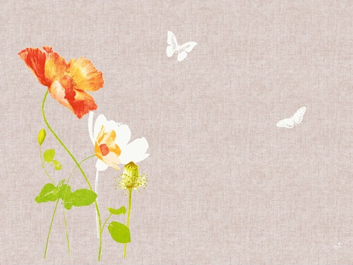 Tischsets Dunicel 30 x 40 cm, 100 Stück | mit Motiv Poppy 
