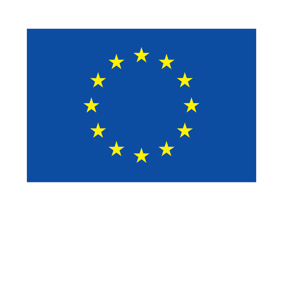 Gefördert durch die EU