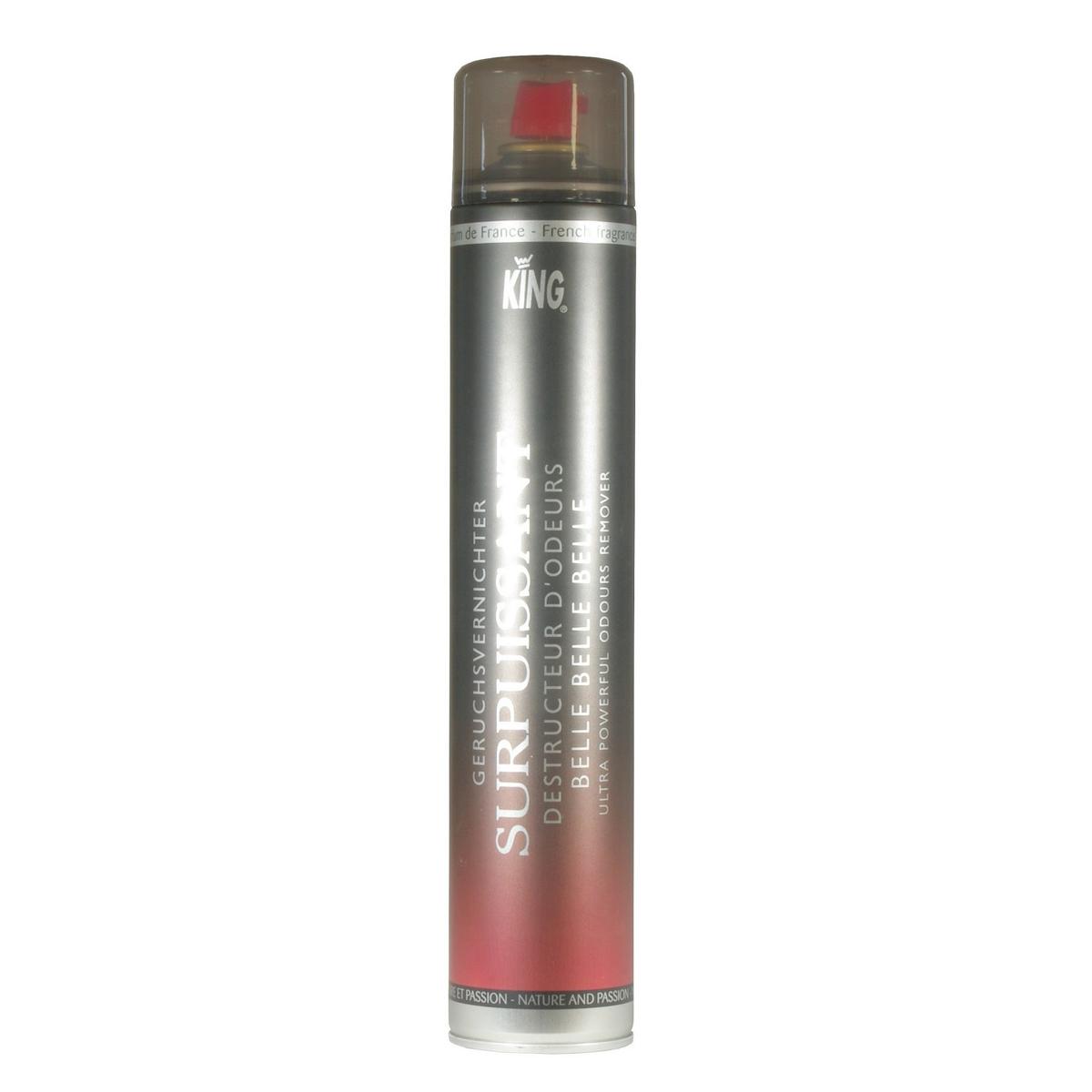 Raumduftspray King Destructeur Odeurs Surpuissant Belle Belle Belle, 750 ml | Belle Belle Belle  